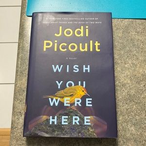 3/15$ | Jodi Picoult’s WISH YOU WERE HERE 📖